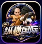 纵横国际