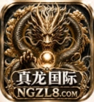 真龙国际